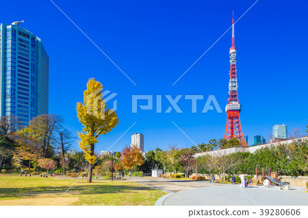 東京芝公園在秋天 東京芝公園在秋天 39280606
