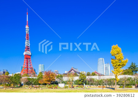 東京芝公園在秋天 39280612