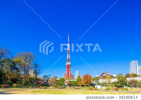 東京芝公園在秋天 東京芝公園在秋天 39280613