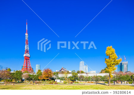 東京芝公園在秋天 東京芝公園在秋天 39280614
