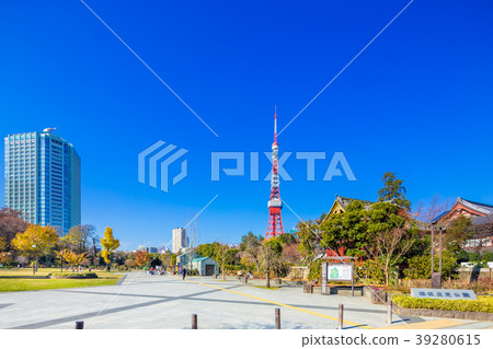 東京芝公園在秋天 東京芝公園在秋天 39280615