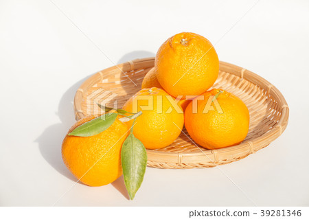 Shiranui (Shiranui) 39281346