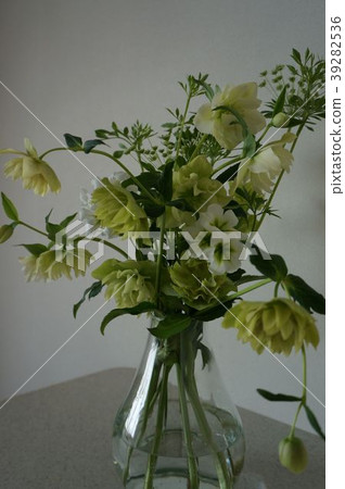 Christmas rose arrangement 39282536