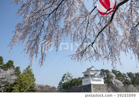 春天名古屋城堡 春天名古屋城堡 39283899