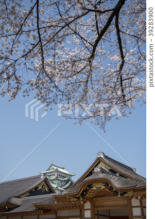 春天名古屋城堡 春天名古屋城堡 39283900