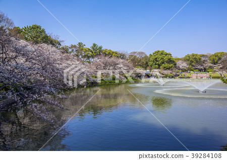 愛知縣名古屋市Meijo Park Sakura 39284108