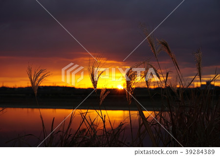 Hyogo Prefecture Kakogawa Riverbed Sunrise Hyogo Prefecture Kakogawa Riverbed Sunrise 39284389