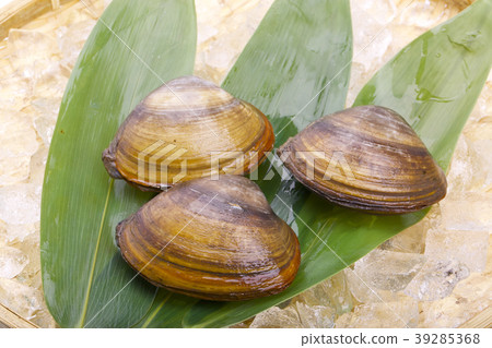 Hokkigai Hokkigai 39285368