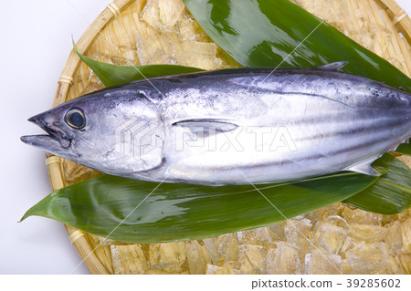 Primary tablet 39285602