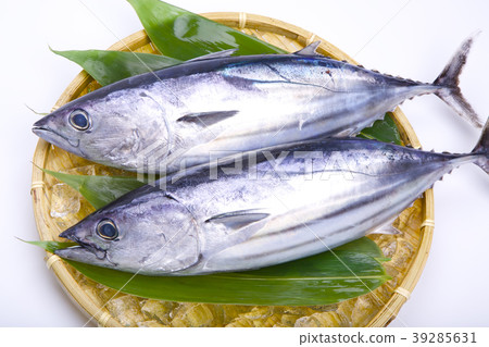 Primary tablet Primary tablet 39285631