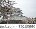 櫻花和小田原城堡 39285660
