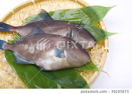 Horse mackerel lahagi ingredients 39285673