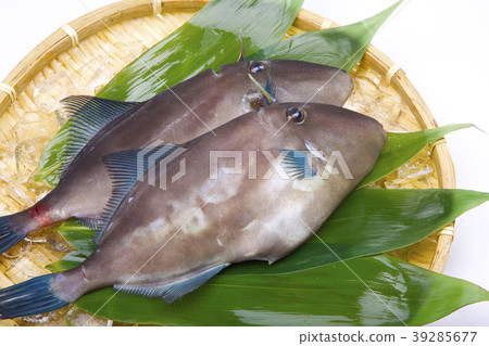 Horse mackerel lahagi ingredients 39285677