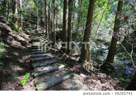 Scenery of promenade to Otaru Falls (Kochi Prefecture Occhi Town) Scenery of promenade to Otaru Falls (Kochi Prefecture Occhi Town) 39285741