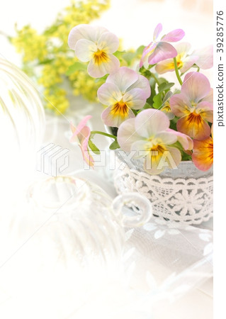 Spring image viola 39285776