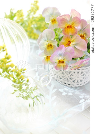 Spring image viola 39285777
