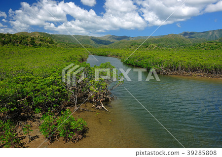 沖繩縣八重山郡Iriomotejima Nakagawa 39285808