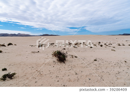 Scenic view of desert landscape Scenic view of desert landscape 39286409