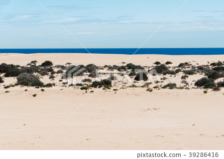 Scenic view of desert landscape Scenic view of desert landscape 39286416