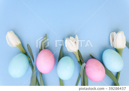 Easter eggs and spring flowers narcissi on blue ba 39286437