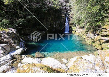Kobuchi(高知縣Inoi Town) Kobuchi(高知縣Inoi Town) 39286505