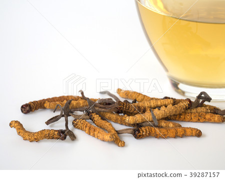 mushroom cordyceps this a herbs. With a glass mushroom cordyceps this a herbs. With a glass 39287157
