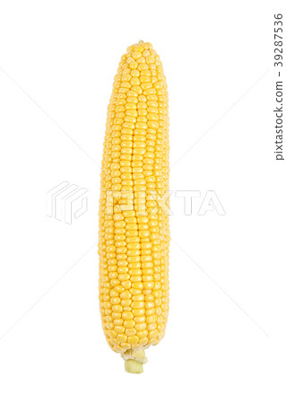 corn cob isolated corn cob isolated 39287536