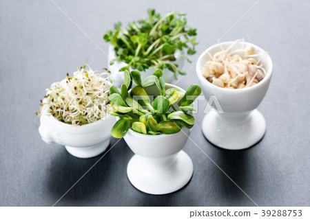 Different types of micro greens in white bowls for Different types of micro greens in white bowls for 39288753