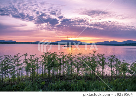 Amazing sunset at Loch Creran, Barcaldine, Argyll 39289564