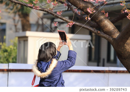 Camera girls 39289743