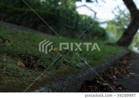伊藤,要走的路 伊藤,要走的路 39289997