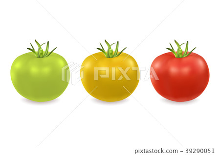 Vector 3d realistic green, yellow and red tomato Vector 3d realistic green, yellow and red tomato 39290051