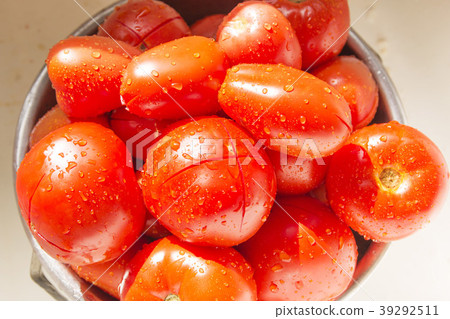 Bowl of tomatoes being washed Bowl of tomatoes being washed 39292511