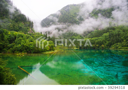 Jiu Trench Jiu Trench 39294318