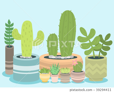 Cactus green plant cactaceous home nature cacti Cactus green plant cactaceous home nature cacti 39294411