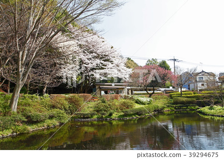 Mogo-gawa park (Sogamihara city) Mogo-gawa park (Sogamihara city) 39294675
