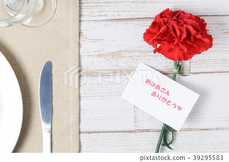 母親節派對形象康乃馨 39295583