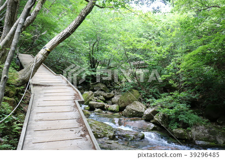 Adachi Valley Walkway 39296485
