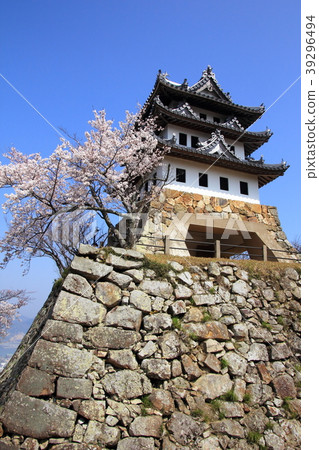 Sumoto Castle Ruins 39296494