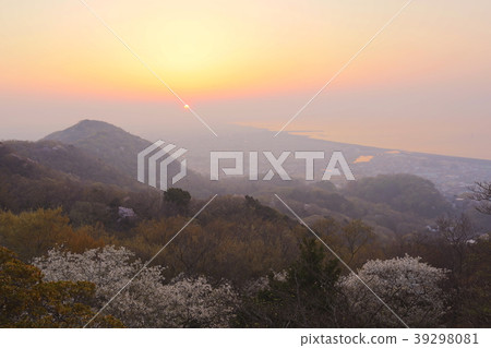 Shonan Plain Sunrise 39298081