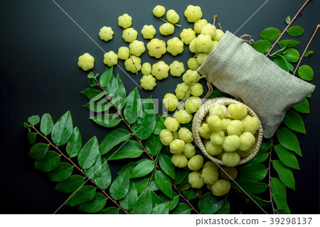 star gooseberry on black background star gooseberry on black background 39298137