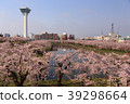 Cherry blossoms at Goryokaku 39298664