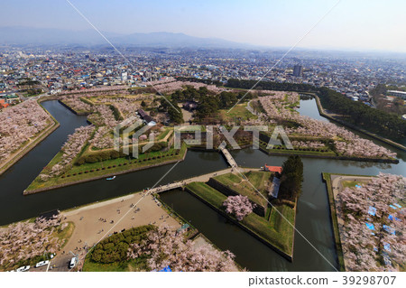 五稜郭的櫻花 五稜郭的櫻花 39298707
