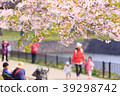 Cherry blossoms at Goryokaku 39298742