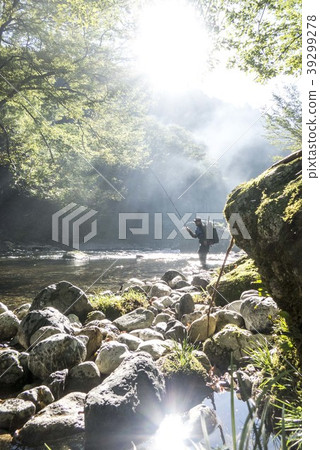 A person fishing in a mountain stream through a tree 39299278