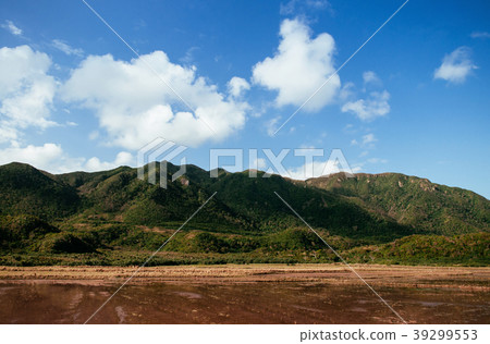tropical forest mountain Iriomote island, Okinawa 39299553