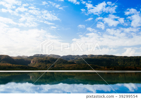 Urauchi river mangrove forest Iriomote, Okinawa 39299554