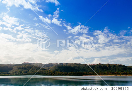 Urauchi river mangrove forest Iriomote, Okinawa 39299555