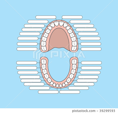 Tooth chart blank illustration vector on blue 39299593