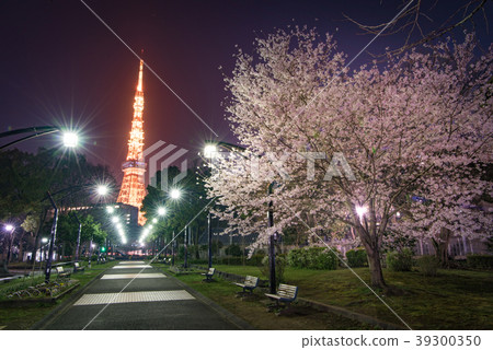 芝公園櫻花東京塔 39300350